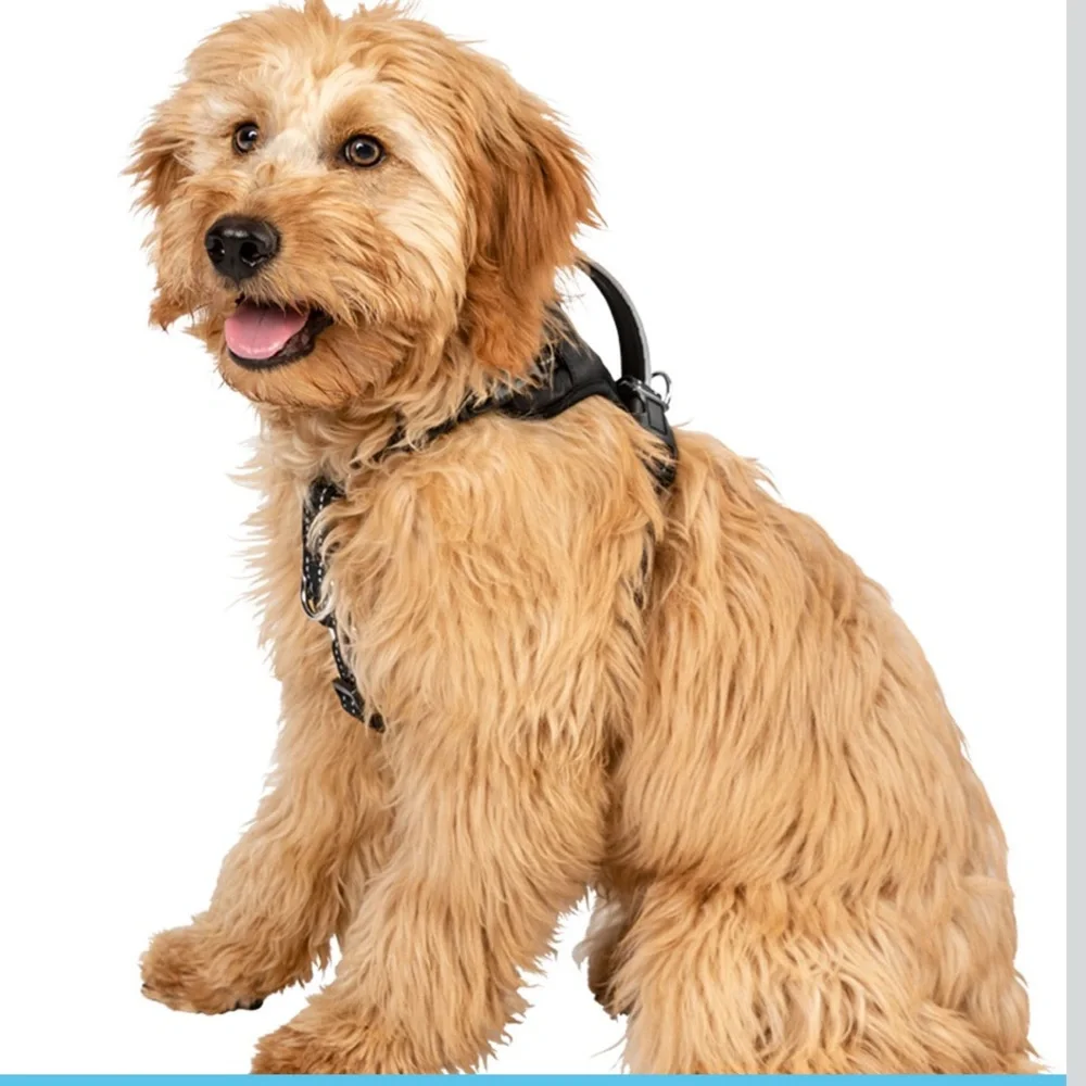 Pemeir Pet Black Nylon No Pull Comfort Harness Size Small